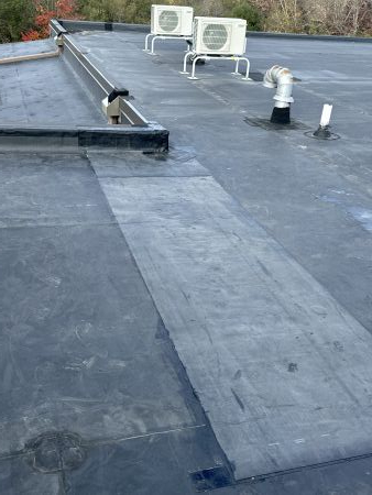 img2710.jpeg